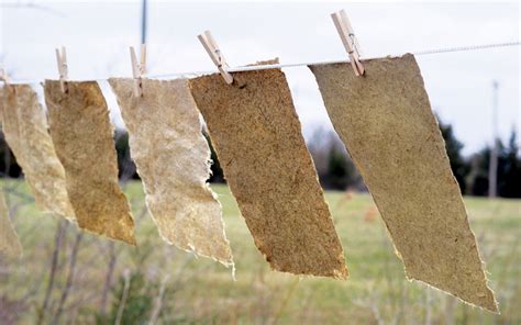 Image result for Pulp to Make Paper