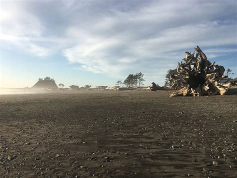 15 Breathtaking Beaches in Olympic National Park