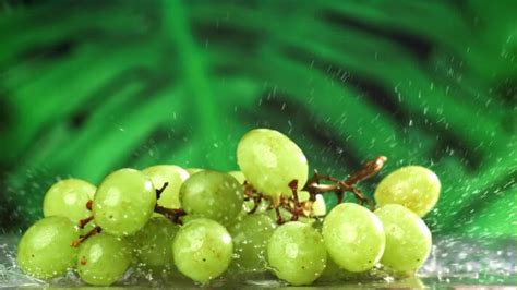 Image result for Grapefruiting Scene