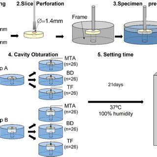 Image result for Science Protocol
