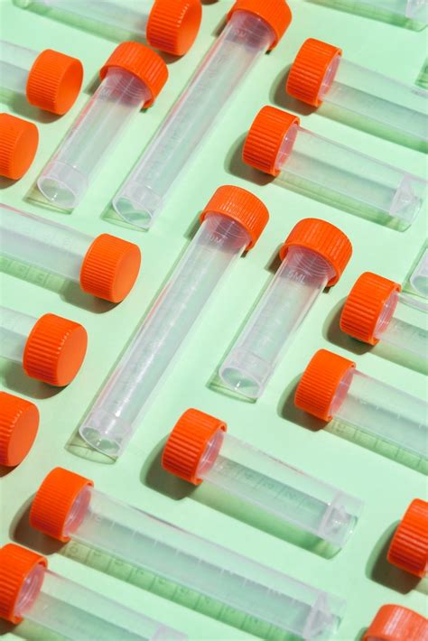 Sample Photos - Download Free High-Quality Pictures | Freepik