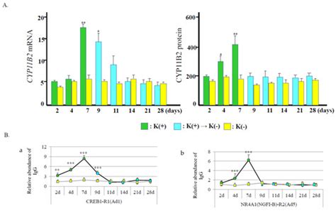 IJMS | Special Issue : Molecular Advances in Aldosterone and ...