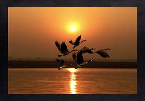 Craftsfest Sunrise With Bird Beautiful Wall Painting Ink 14 inch x 20 ...