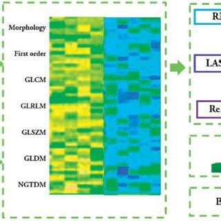 Machine Learning Model Map 的图像结果