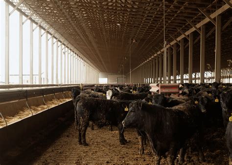 Using Yard Waste as Fuel 的图像结果