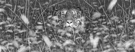 Add Depth to Figure Drawing 的图像结果