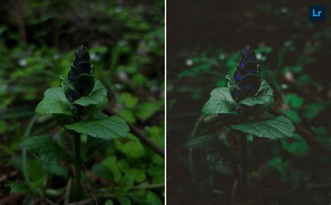 Image result for High-Rise Edit