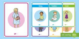 Human Life Cycle PowerPoint - Colourful Resource for Kids