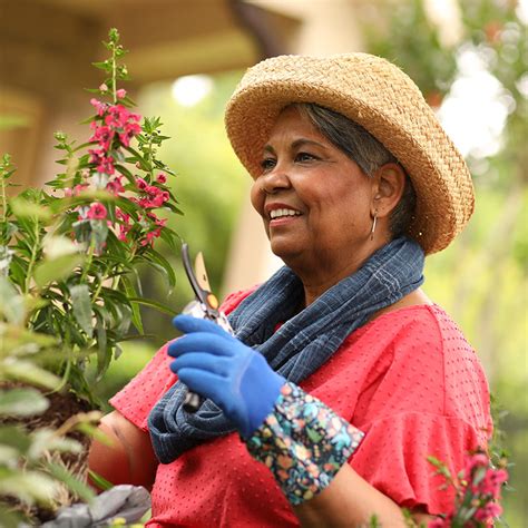 Image result for Selective Nerve Root Block