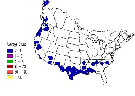 Image result for Hummingbird Distribution Map