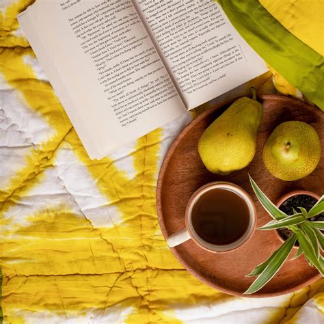 Chitra- Shibori Dyed Single & Double Cotton Quilt – Kairan Studio