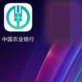 中国编码app下载-中国编码查询中心app-中国编码app安卓下载2024