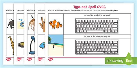 Type and Spell CVCC Words | Stage 1 spelling and Typing