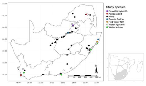A Remote Sensing Method to Monitor Water, Aquatic Vegetation, and ...