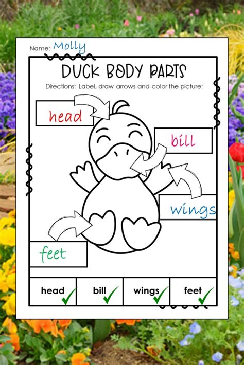 Image result for Printable Science Worksheets Grade 2