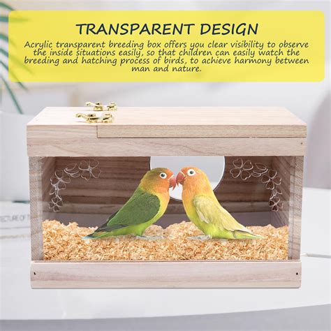 Image result for Parakeet Breeding Box