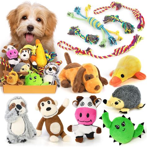 Top Toys for Havanese: Keep Your Pup Happy & Healthy