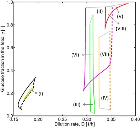 Complex Nonlinear Behavior in Metabolic Processes: Global Bifurcation ...