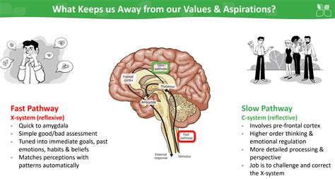 Image result for Getting Fast Head