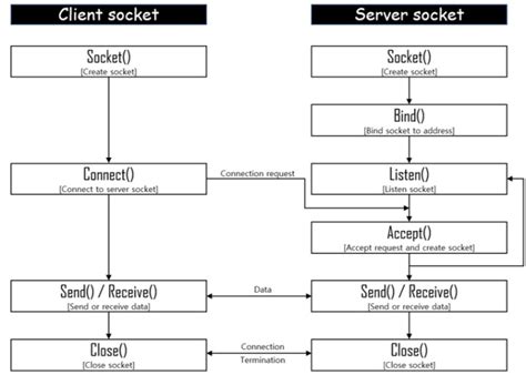 Image result for Socket Networking