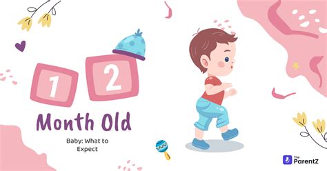 Image result for Normal 12 Month Old Development