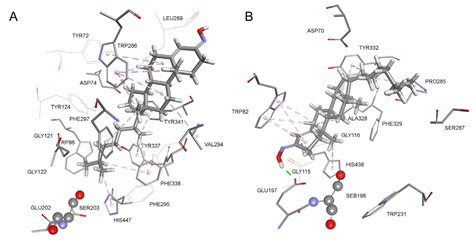 Cholesterol Oxime Olesoxime Assessed as a Potential Ligand of Human ...