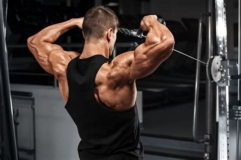The 10 Best Rear Delt Exercises for Muscle & Strength – StrengthLog