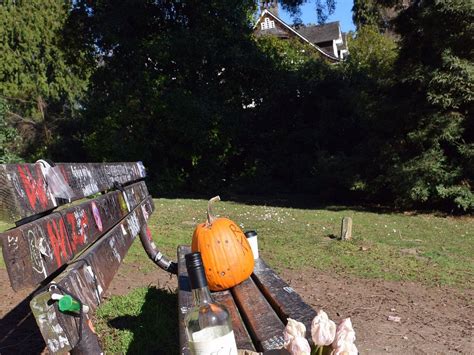 SEATTLE QWIK TOUR (2026) All You Need to Know BEFORE You Go (w/ Reviews ...