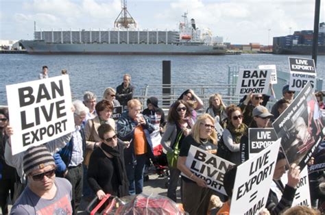 Free Trade Protest 的图像结果