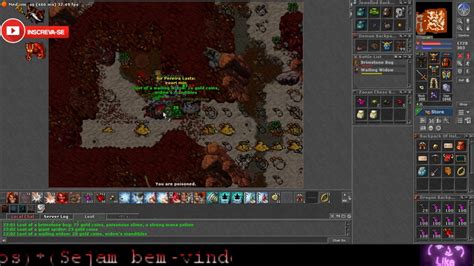 Image result for Tibia Ek