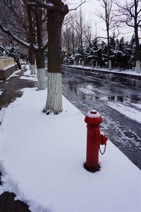 瑞雪兆丰年英语-瑞雪兆丰年英语,瑞雪兆丰年,英语 - 早旭阅读