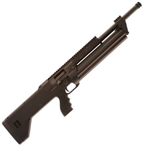 Image result for Mini Shell