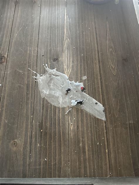 How to Clean Up Wax from Floor: Quick and Easy Tips