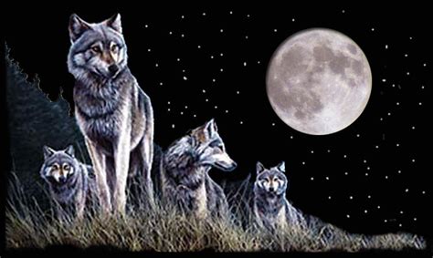 Image result for Real Wolves