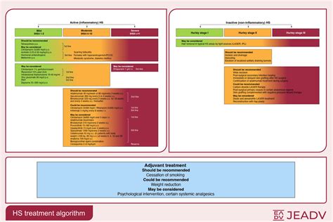 European S2k guidelines for hidradenitis suppurativa/acne inversa part 2: Treatment - Zouboulis ...