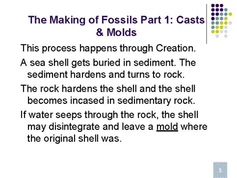 Image result for Fossil Formation Process Step 1