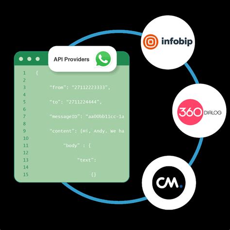 Image result for Whats App API Chatbot Characterization Example