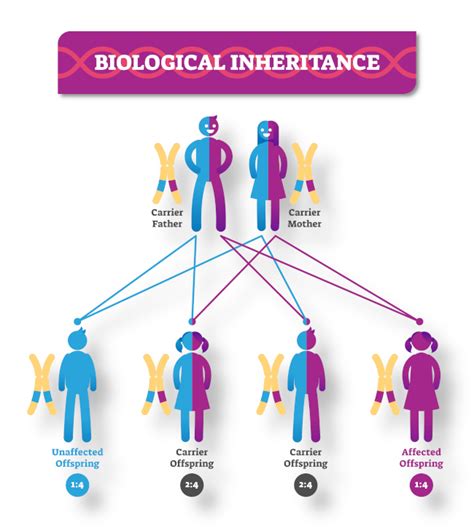 Image result for Reproduction Inseparable