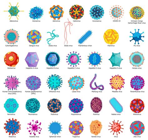 A cool guide about types of viruses : r/coolguides