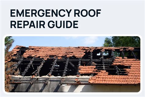 Emergency Roof Repair Guide Illinois Storm Response