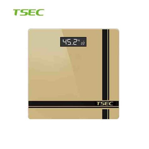 Digital Scale 的图像结果