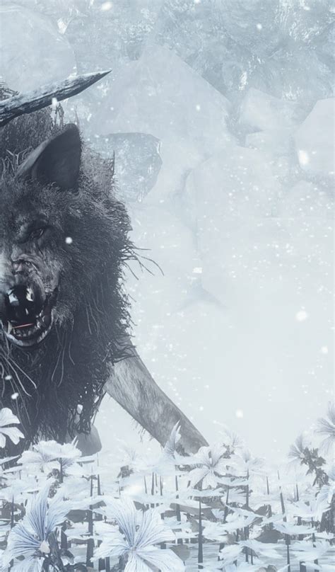 Download wallpaper sword, game, flower, armor, ken, animal, wolf, blade ...