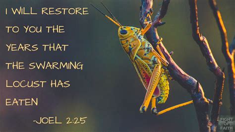 Swarm Of Locusts Bible