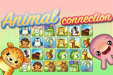 Image result for Animal Connection