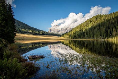 Lakes and streams in Primiero and Vanoi for fishing