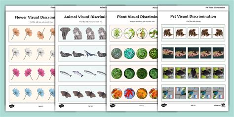 SEND Visual Discrimination Activity Pack - Twinkl