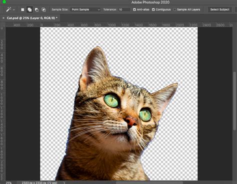 Image result for Remove Background Photoshop CS6