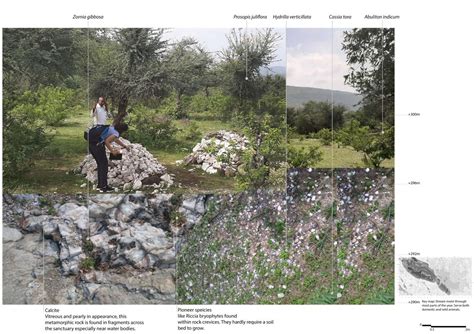 Fault in the Rocks | CEPT - Portfolio