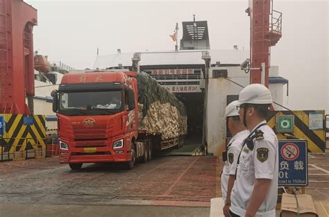 海口海事局已保障143辆第三届消博会跨海运输车辆安全进岛
