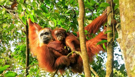 Indonesia In April Guide: To Explore The Pristine Beaches And Islands